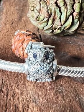 Authentic Pandora Charm Graduation Owl Animal Gift Family Blue Zirconia